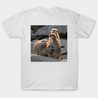 Meerkat 075 T-Shirt
